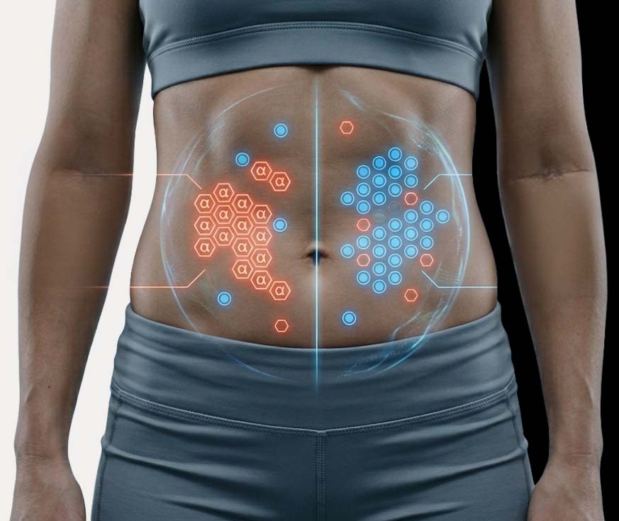 Diagram of Alpha vs Beta receptors in abdominal fat cells explaining stubborn fat resistance.